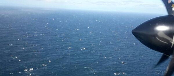 Misión de búsqueda del submarino argentino desaparecido San Juan - Sputnik Mundo