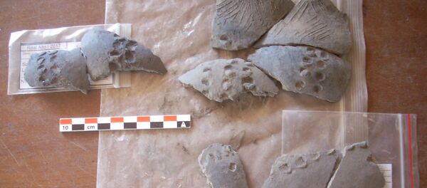 La cerámica precolombina de Real Alto, descubierta por arqueólogos rusos La cerámica precolombina de Real Alto, descubierta por arqueólogos rusos - Sputnik Mundo