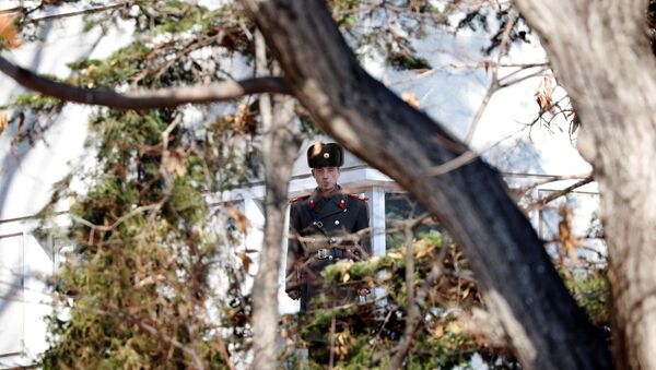 Un militar norcoreano (imagen referencial) - Sputnik Mundo