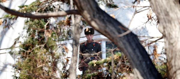 Un militar norcoreano (imagen referencial) - Sputnik Mundo