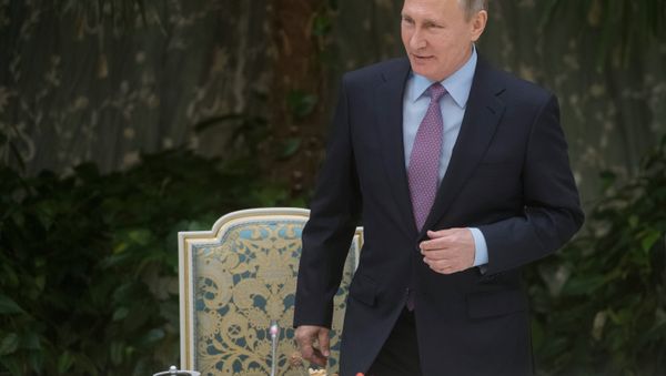 Vladímir Putin, el presidente de Rusia Vladímir Putin, el presidente de Rusia - Sputnik Mundo