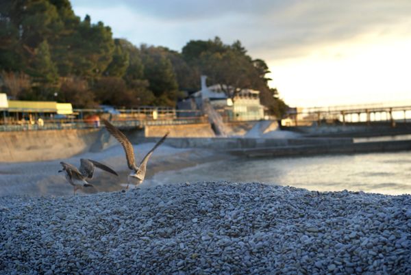 Una playa del mar Negro en Crimea - Sputnik Mundo