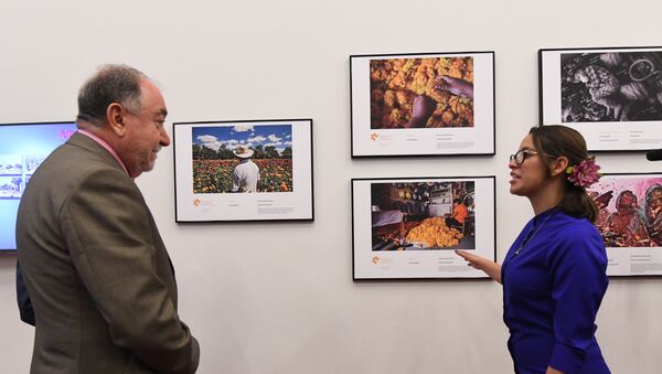Exposición de las obras ganadoras del Tercer Concurso Internacional de Fotoperiodismo Andréi Stenin en el Centro de la Imagen de México. - Sputnik Mundo