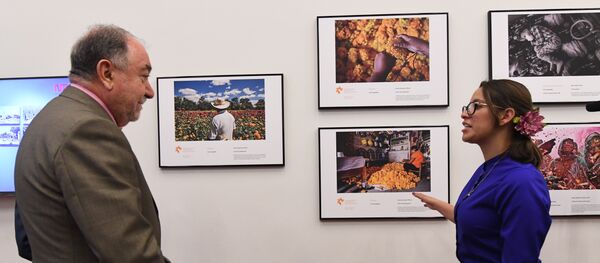 Exposición de las obras ganadoras del Tercer Concurso Internacional de Fotoperiodismo Andréi Stenin en el Centro de la Imagen de México. - Sputnik Mundo