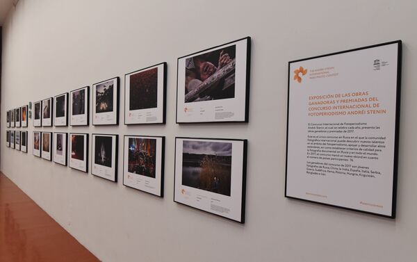 Exposición de las obras ganadoras del Tercer Concurso Internacional de Fotoperiodismo Andréi Stenin en el Centro de la Imagen de México. - Sputnik Mundo