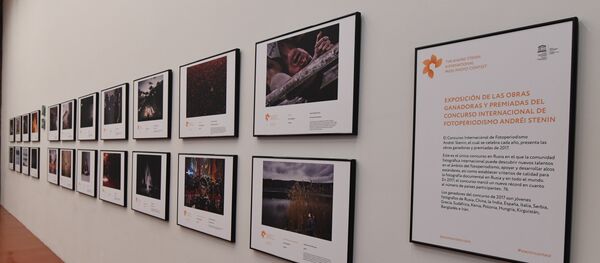 Exposición de las obras ganadoras del Tercer Concurso Internacional de Fotoperiodismo Andréi Stenin en el Centro de la Imagen de México. - Sputnik Mundo
