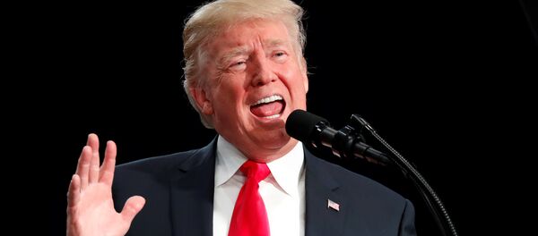 Donald Trump, presidente de EEUU - Sputnik Mundo