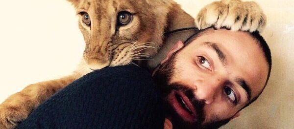 Artiom Martirosian y su leona Legenda - Sputnik Mundo