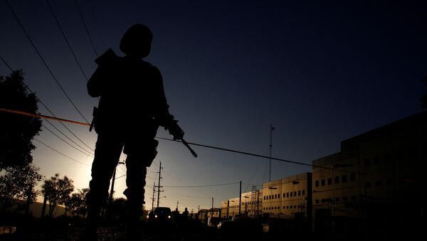 Un soldado mexicano - Sputnik Mundo