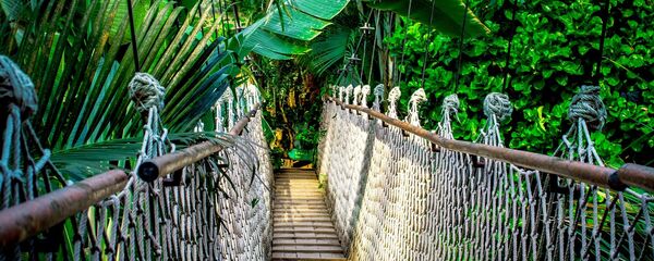 Amazonia (imagen referencial) - Sputnik Mundo