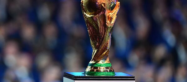 El trofeo de la FIFA (imagen ilustrativa) - Sputnik Mundo