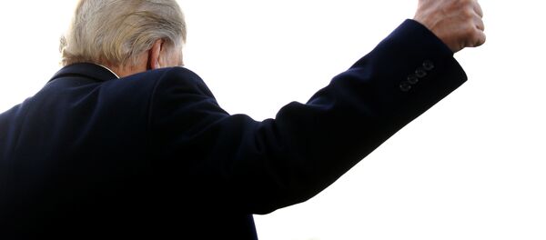 Donald Trump, presidente de EEUU - Sputnik Mundo