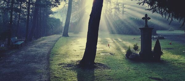 Un cementerio - Sputnik Mundo