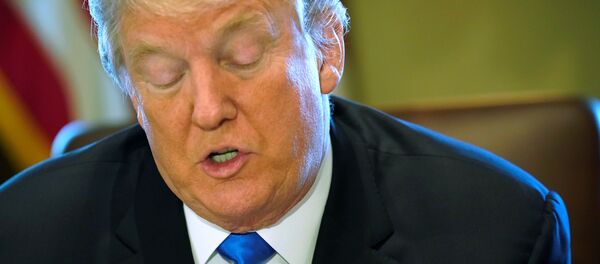 Donald Trump, presidente de EEUU - Sputnik Mundo