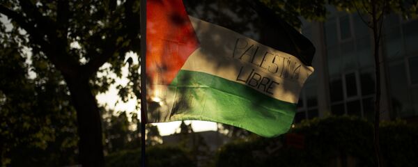 La bandera de Palestina - Sputnik Mundo