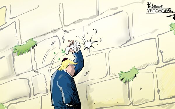 Trump corta las alas a la paloma de la paz entre Palestina e Israel - Sputnik Mundo