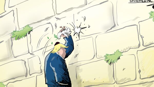 Trump corta las alas a la paloma de la paz entre Palestina e Israel - Sputnik Mundo