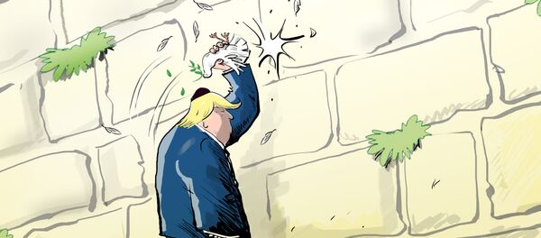 Trump corta las alas a la paloma de la paz entre Palestina e Israel - Sputnik Mundo