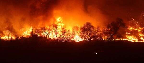 Incendios forestales en California - Sputnik Mundo