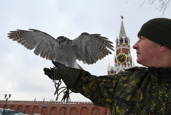 Los inusuales guardianes del Kremlin - Sputnik Mundo