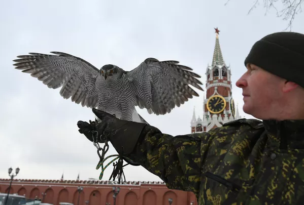Los inusuales guardianes del Kremlin Los inusuales guardianes del Kremlin - Sputnik Mundo