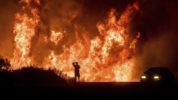 Incendios forestales en California - Sputnik Mundo