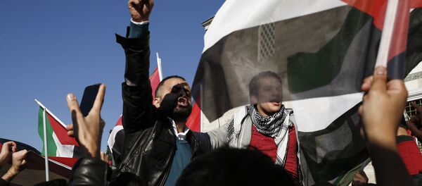 Protestas en Estambul por la decisión de Donald Trump sobre Jerusalén - Sputnik Mundo