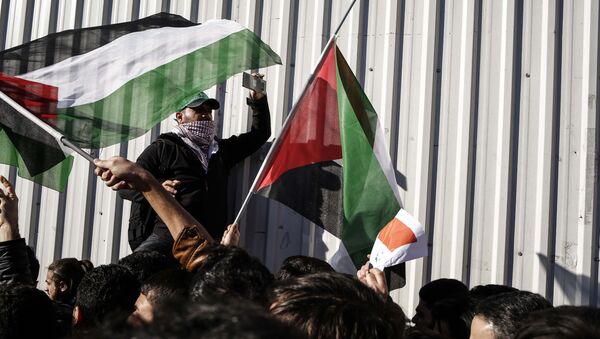 Protestas en Estambul por la decisión de Donald Trump sobre Jerusalén - Sputnik Mundo