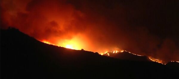Peligro extremo: grandes incendios forestales asolan California - Sputnik Mundo