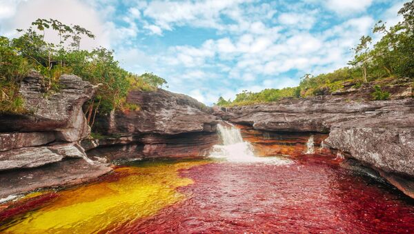 Río Caño Cristales, Colombia - Sputnik Mundo