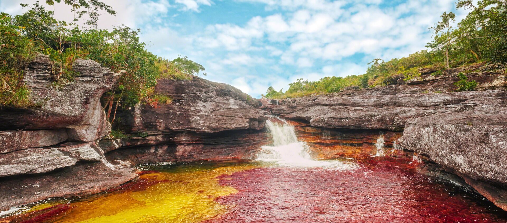 Río Caño Cristales, Colombia - Sputnik Mundo, 1920, 09.12.2017