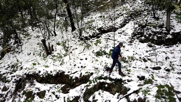 Frente frío y nevadas en el norte de México - Sputnik Mundo