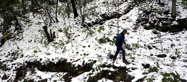Frente frío y nevadas en el norte de México - Sputnik Mundo