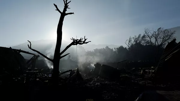 Incendios forestales en California - Sputnik Mundo