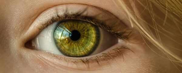 Un ojo (imagen referencial) - Sputnik Mundo