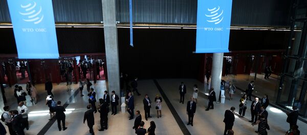XI Conferencia Ministerial de la OMC en Buenos Aires, Argentina - Sputnik Mundo