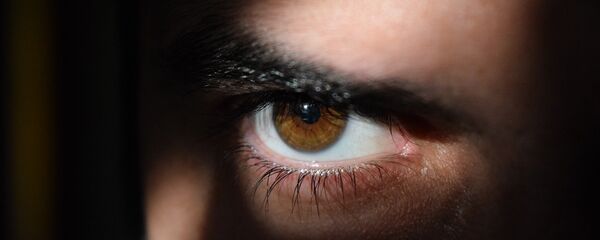 Un espía (imagen referencial) - Sputnik Mundo