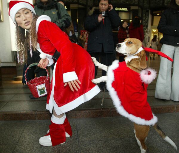 Descubre las caras más seductoras de las chicas Papá Noel - Sputnik Mundo