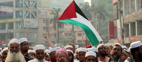 La bandera de Palestina La bandera de Palestina - Sputnik Mundo