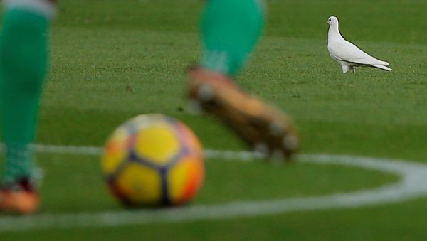 Fútbol (imagen referencial) Fútbol (imagen referencial) - Sputnik Mundo