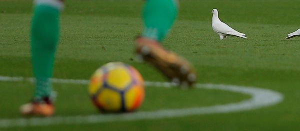 Fútbol (imagen referencial) - Sputnik Mundo