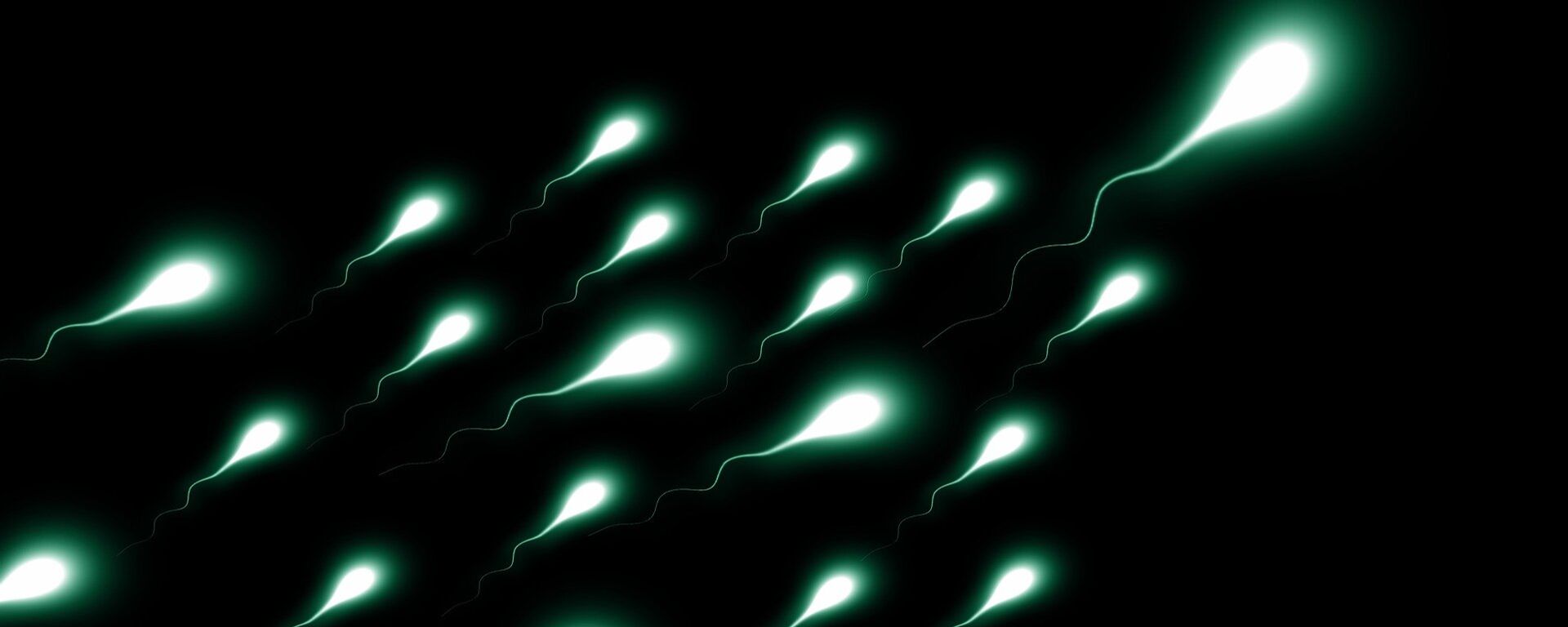 Espermatozoides (imagen referencial) - Sputnik Mundo, 1920, 13.08.2021