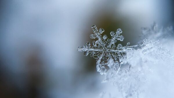 Copos de nieve (imagen referencial) - Sputnik Mundo