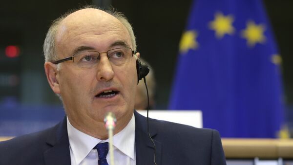 Phil Hogan, el eurocomisario de Agricultura y Desarrollo Rural - Sputnik Mundo