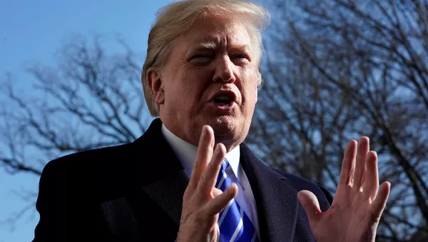 Donald Trump, presidente de EEUU - Sputnik Mundo