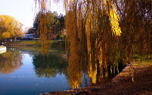 El parque adyacente al sanatorio Mashuk Aqua-Therm - Sputnik Mundo