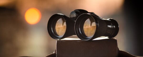 Binoculares, imagen referencial - Sputnik Mundo