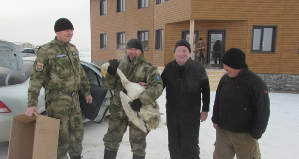 Los bomberos de la zona se apiadaron del animal, al que bautizaron como Lev —león, en ruso— por su gran apetito y sus fuertes alas.  - Sputnik Mundo