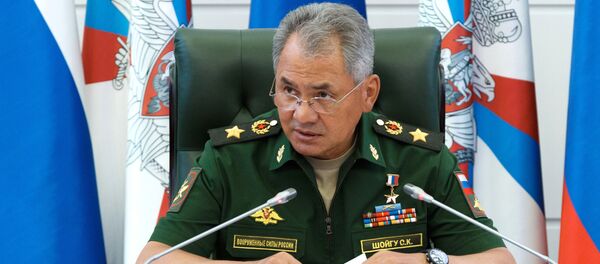 Serguéi Shoigú, ministro de Defensa de Rusia - Sputnik Mundo