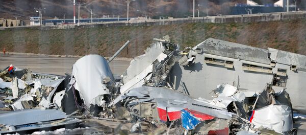 Restos del avión ruso Tu-154 siniestrado en Sochi en 2016 - Sputnik Mundo